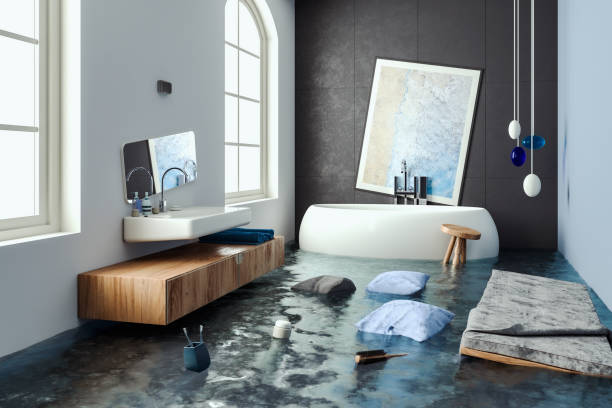 Best Professional water damage repair  in Coloma, MI