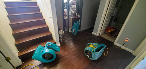 Best Water damage restoration experts  in Coloma, MI