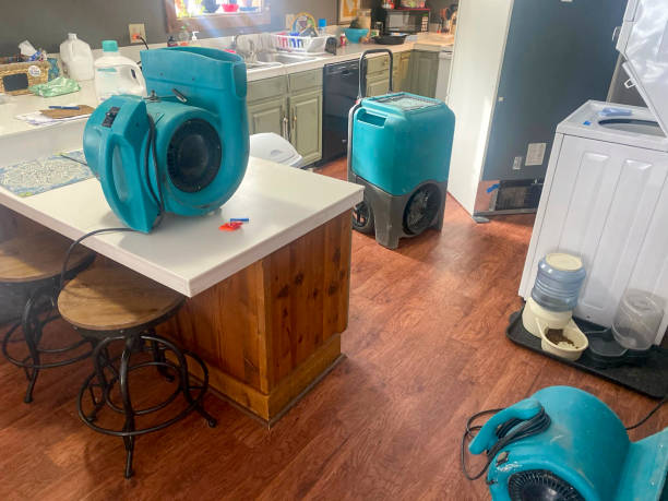 Best Flooded house restoration  in Coloma, MI