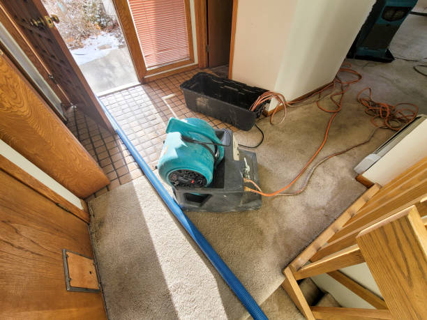  Coloma, MI Water damage restoration Pros