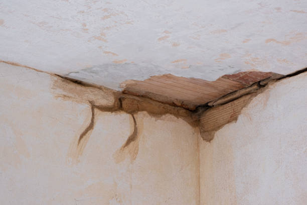 Best Flood damage cleanup  in Coloma, MI