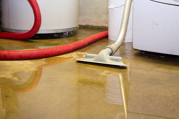 Best 24/7 water damage repair  in Coloma, MI