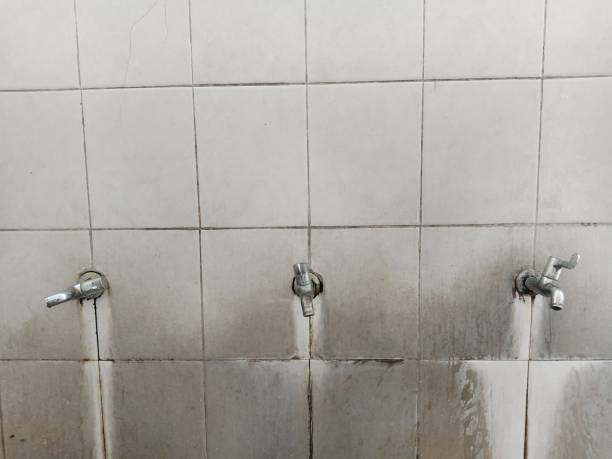 Best Ceiling water damage repair  in Coloma, MI