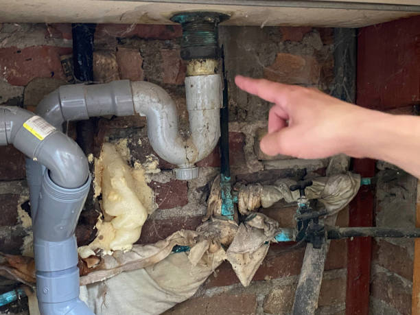 Best Professional water damage repair  in Coloma, MI
