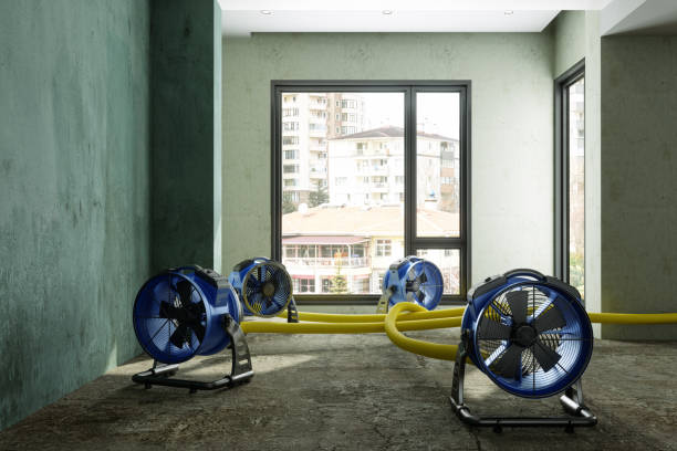 , MI Water damage restoration Company